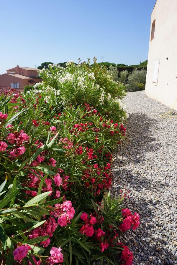 Lone Star House Bed & Breakfast Sainte-Maxime Bagian luar foto